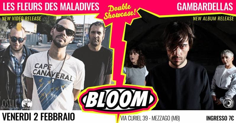 Double Showcase: les Fleurs des Maladives e Gambardellas