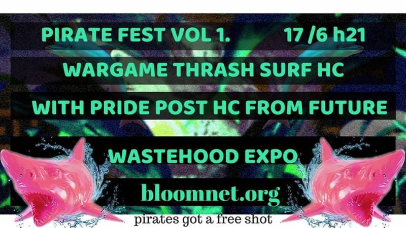 Pirate FEST #1