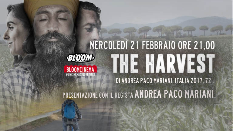 The Harvest, Andrea Paco Mariani