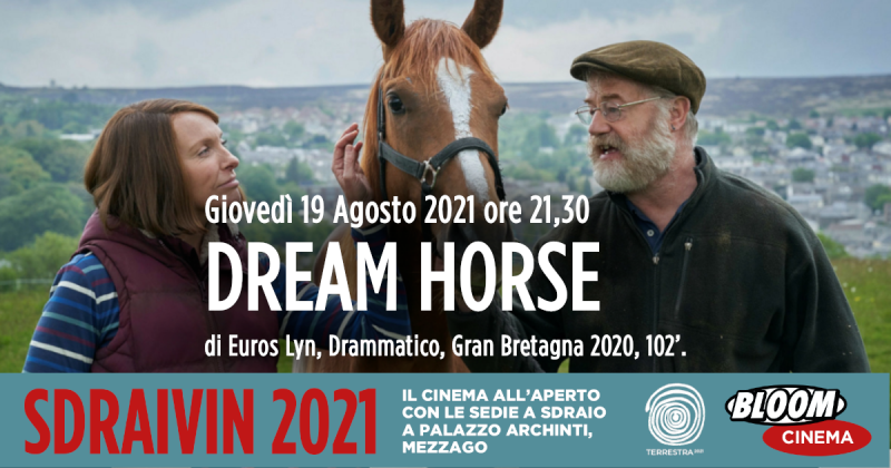 Dream Horse, Euros Lyn