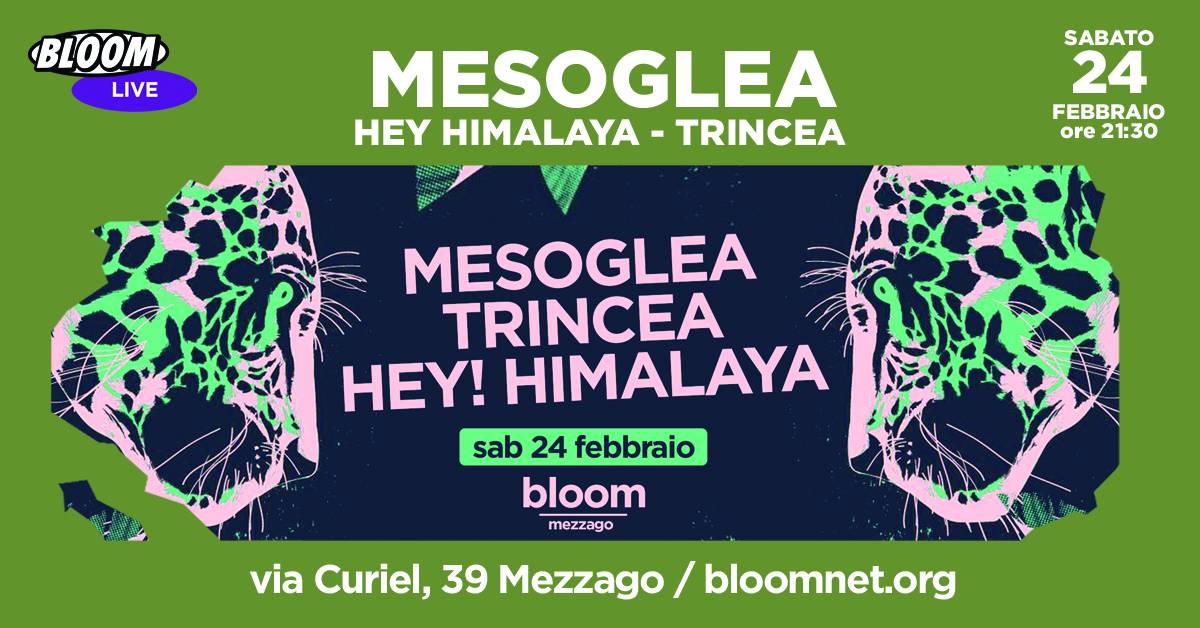 Mesoglea + Hey Himalaya + Trincea | In collaborazione con A Tu X Tour