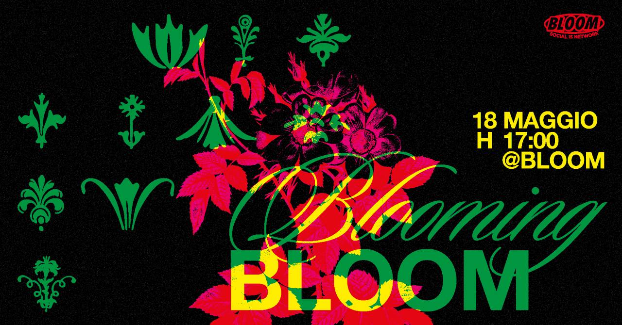 Blooming Bloom