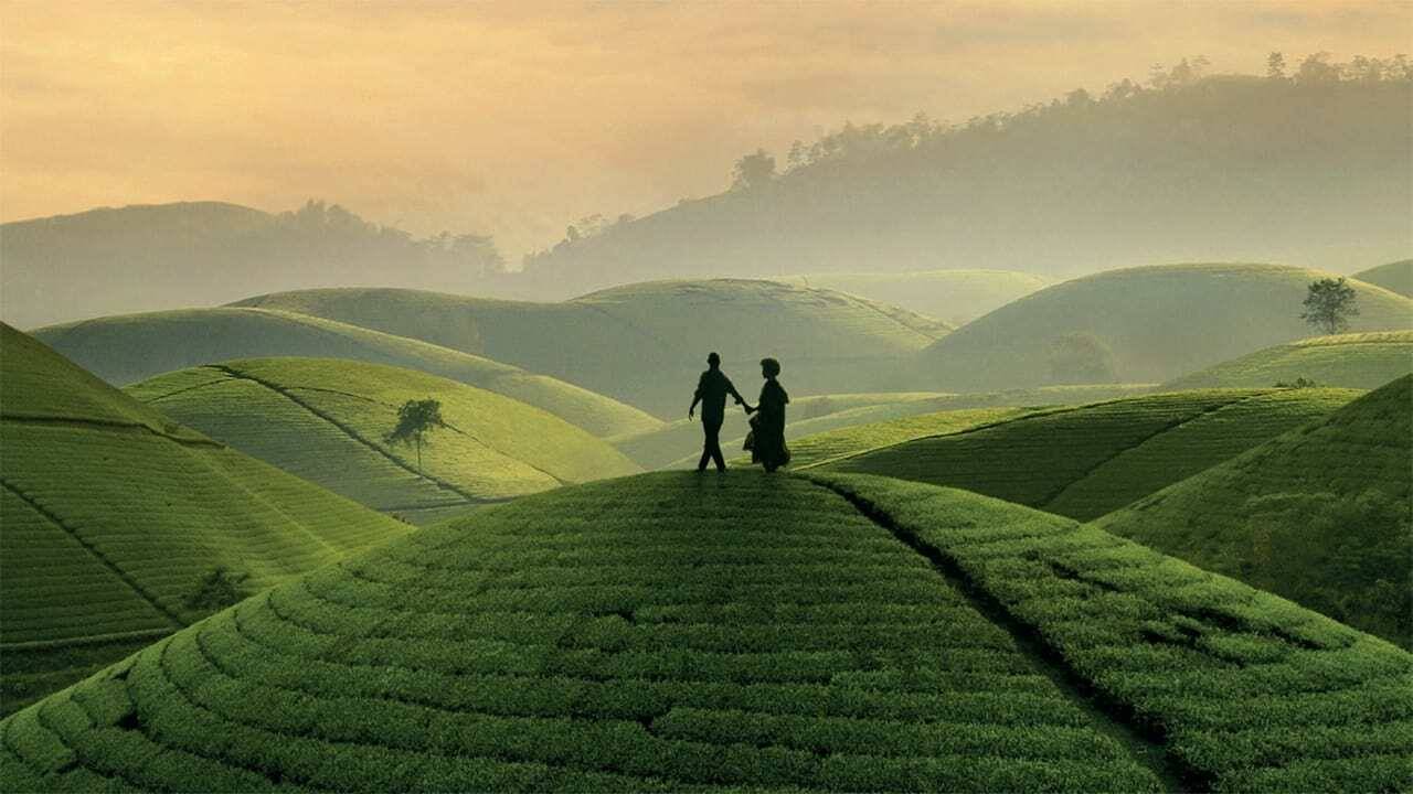 Black Tea, Abderrahmane Sissako