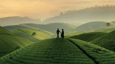 PROFUMO DI TÈ (Black Tea), Abderrahmane Sissako