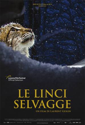 Le linci selvagge