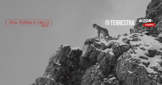 La Pantera delle Nevi, Marie Amiguet, Vincent Munier