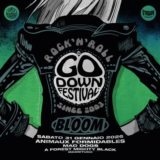 GO DOWN FESTIVAL • ANIMAUX FORMIDABLES + MAD DOGS + A FOREST MIGHTY BLACK + MAGNITUDO