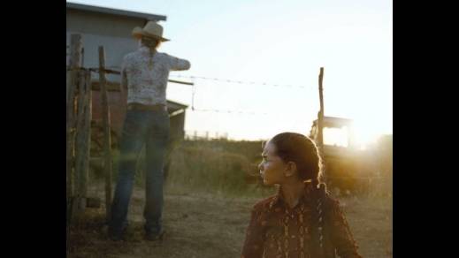 Cose che Accadono sulla Terra, Michele Cinque