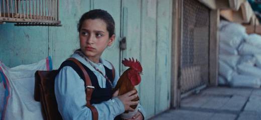 La Torta del Presidente, Hasan Hadi