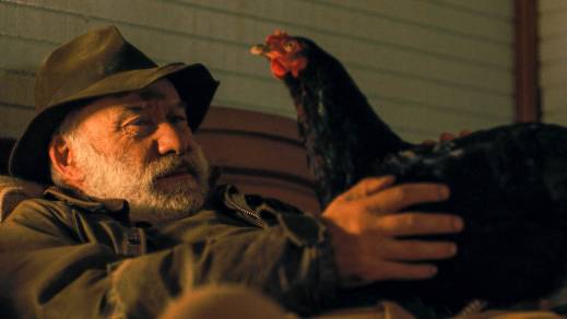 Hen – Storia di una Gallina, György Pálfi